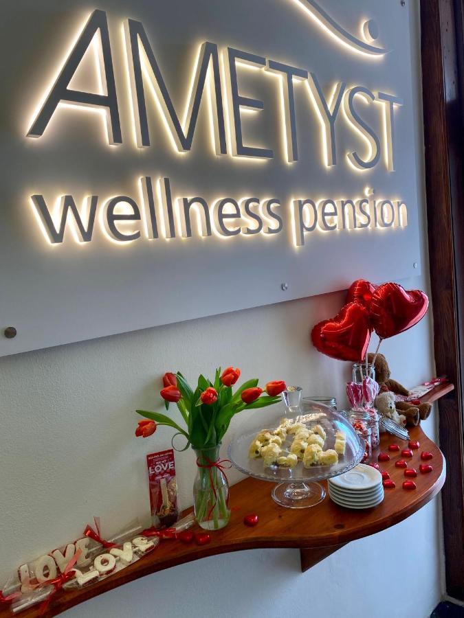Wellness Pension Ametyst Český Krumlov Extérieur photo