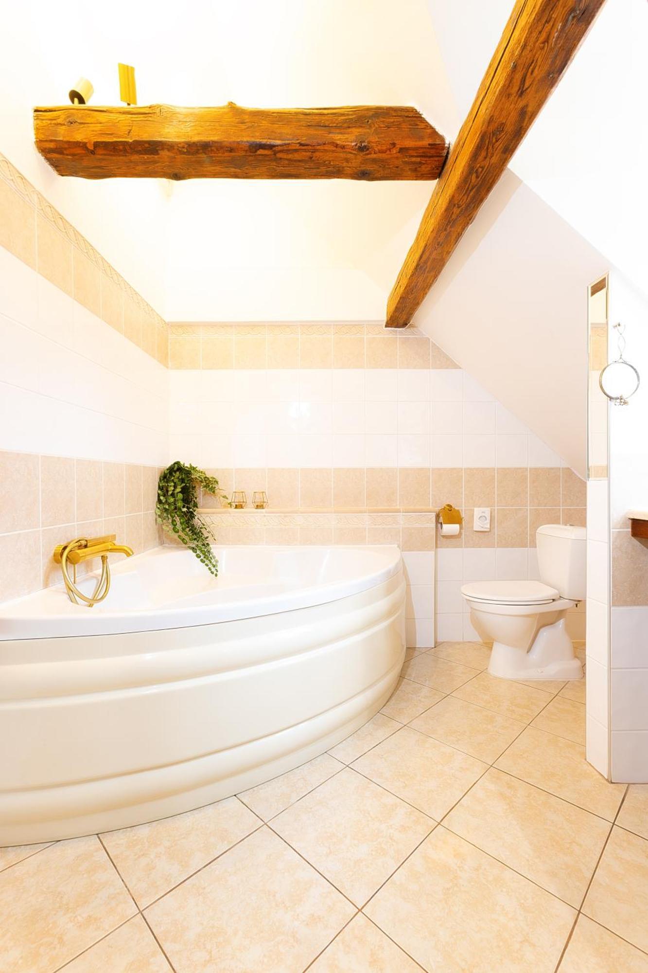 Wellness Pension Ametyst Český Krumlov Extérieur photo
