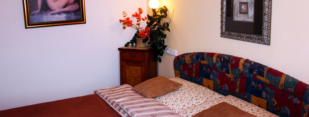 Wellness Pension Ametyst Český Krumlov Extérieur photo