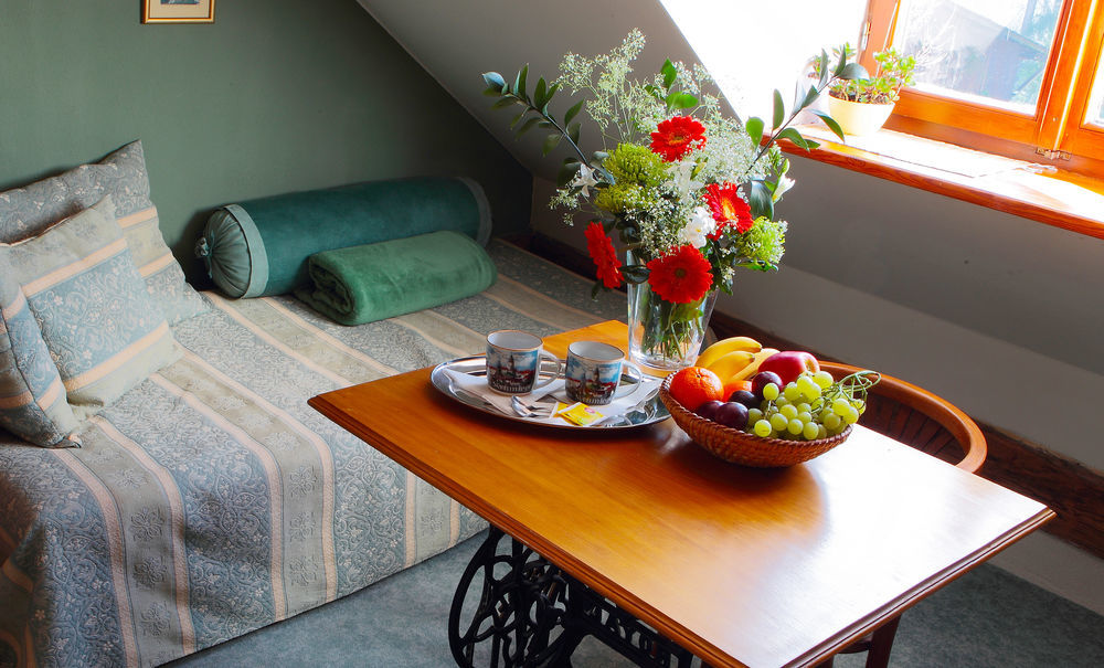 Wellness Pension Ametyst Český Krumlov Extérieur photo